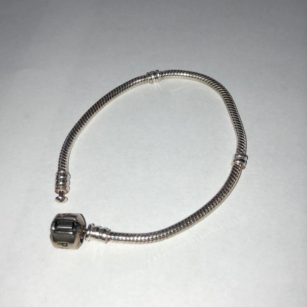 Brand new iconic sliver charm pandora bracelet